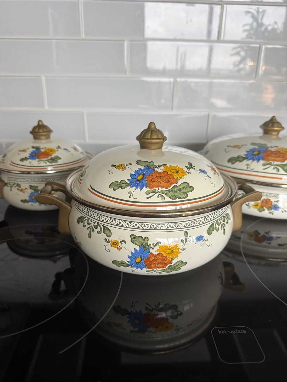 Vintage ASTA Fissler Style Enamelware Cookware Set Floral & Brass 3 Lidded Pots